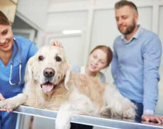 vétérinaire Sunrise Veterinary Clinic Comox