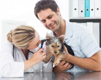 vétérinaire Calmar Veterinary Clinic Calmar