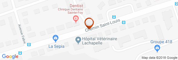 horaires vétérinaire Sainte-Foy
