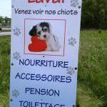 Horaire Animaux Laval Centre Canin